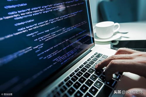 計算機技術(shù)與軟件專業(yè)技術(shù)資格水平考試中的軟件技術(shù)服務(wù)